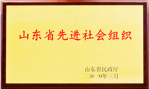 2010�?月，山东省民政厅：山东省先进社会组织.png